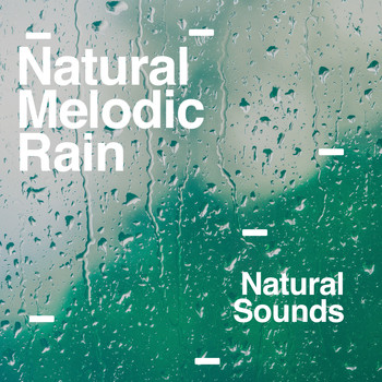 Natural Sounds - Natural Melodic Rain