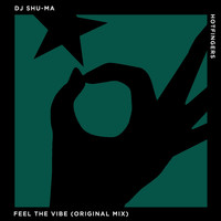 DJ Shu-ma - Feel the Vibe