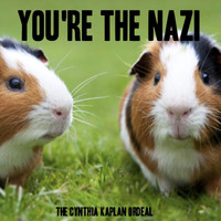 The Cynthia Kaplan Ordeal - You're the Nazi (Explicit)