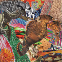 Smear - Mellow Border Collies and the Finite Sadness (Explicit)