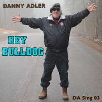Danny Adler - Hey Bulldog