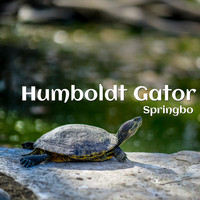 Springbo - Humboldt Gator