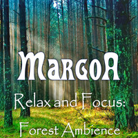 Margoa - Relax and Focus : Forest Ambience