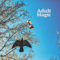 Adult Magic - Adult Magic (Explicit)