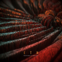 ETN - Nothing Is Perfect