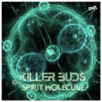 Killer Buds - Spirit Molecule