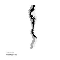Wreckberries - Transience (Explicit)
