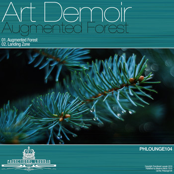 Art Demoir - Augmented Forest