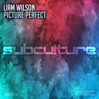 Liam Wilson - Picture Perfect