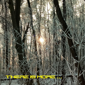 Various Artists - There Is More...