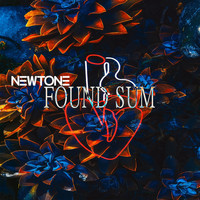 Newtone - Found Sum