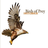 Switchback - Birds of Prey