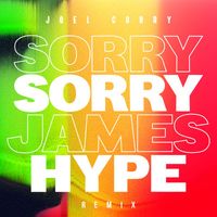 Joel Corry - Sorry (James Hype Remix)