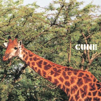 Cune - Clover