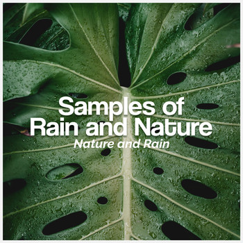 Nature and Rain - Samples of Rain and Nature