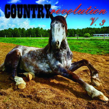 Various Artists - Country Revolution, Vol. 3
