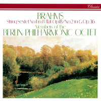 Berlin Philharmonic Octet - Brahms: String Sextets Nos. 1 & 2