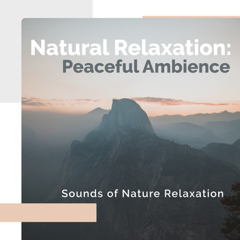Sounds of Nature Relaxation - Natural Relaxation: Peaceful Ambience