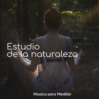Musica para Meditar - Estudio de la naturaleza