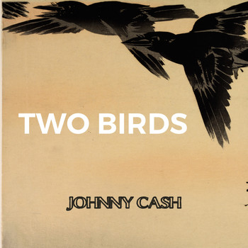 Johnny Cash - Two Birds