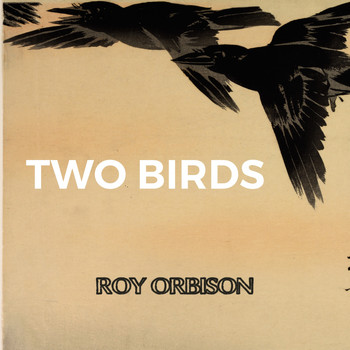 Roy Orbison - Two Birds
