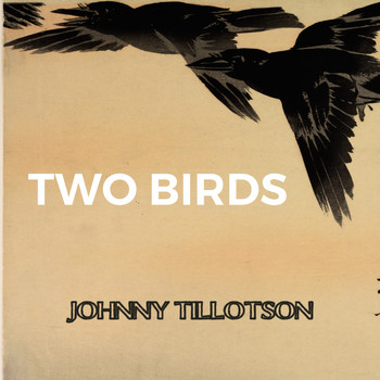 Johnny Tillotson - Two Birds