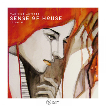 Various Artists - Sense Of House, Vol. 45