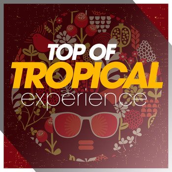 Various Artists - Top Of Tropical Experience