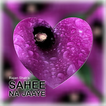 Rajan Shah - Sahee Na Jaaye