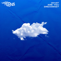 THE FEENS / - What Are You Dreaming?