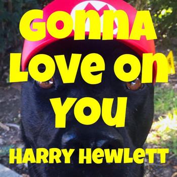 Harry Hewlett - Gonna Love on You