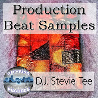 D.J. Stevie Tee - Production Beat Samples