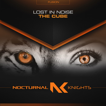 Lost In Noise - The Cube