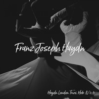 Franz Joseph Haydn - Haydn London Trios, Hob. IV:1-3