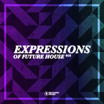 Various Artists - Expressions of Future House, Vol. 16