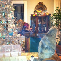 Wayne Olivieri - I'm Glad It's Christmas Time Again