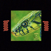 Jelly Crystal - Snake In The Grass