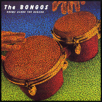 The Bongos - Drums Along the Hudson