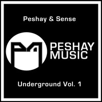 Peshay & Sense - Underground Vol.1