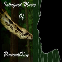 PersonalKey / - Intrigued Music Of PersonalKey
