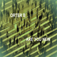 Orter B / - Are You New