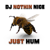 Dj Nothin Nice / - Just Hum