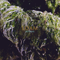 Loam - Reprise