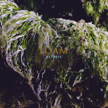 Loam - Reprise
