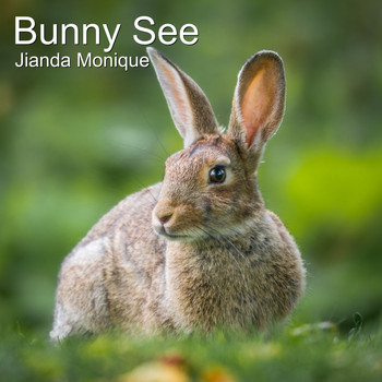 Jianda Monique - Bunny See