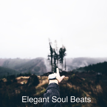 Elegant Soul Beats - Nutha Direction