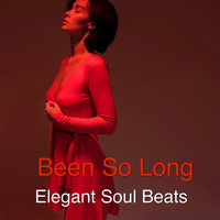 Elegant Soul Beats - Been so Long