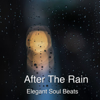 Elegant Soul Beats - After the Rain