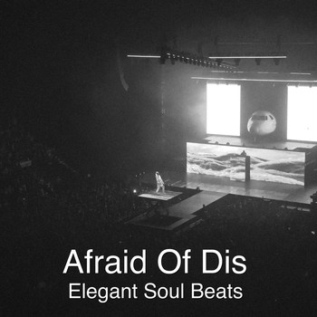 Elegant Soul Beats - Afraid of Dis