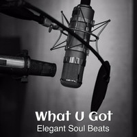 Elegant Soul Beats - What U Got